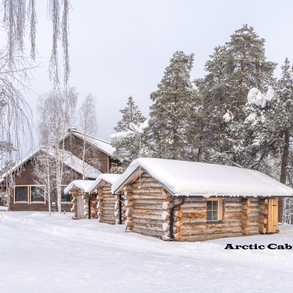 Arctic Cabin